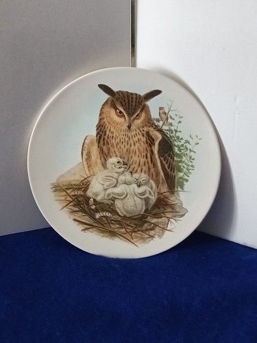 Eagle owl poole pottery plate - eagle,