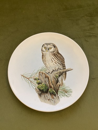 Vintage poole pottery england - vintage,