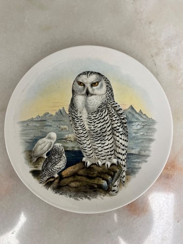 Vintage poole pottery - poole,