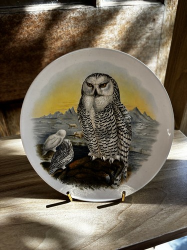 Antique poole john - antique, owl