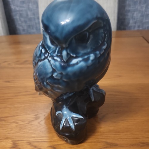 Poole pottery owl glossy - poole,
