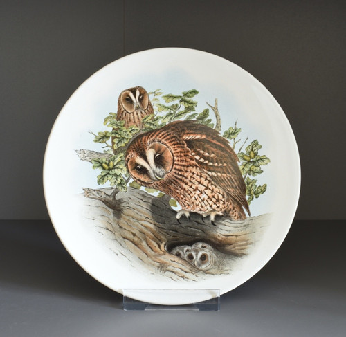 Tawny owl family collector - tawny,