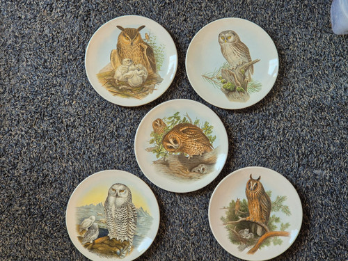 Vintage poole pottery - poole,