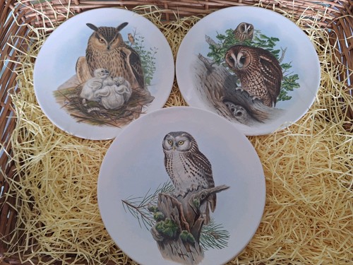 Poole pottery owl - poole, by
