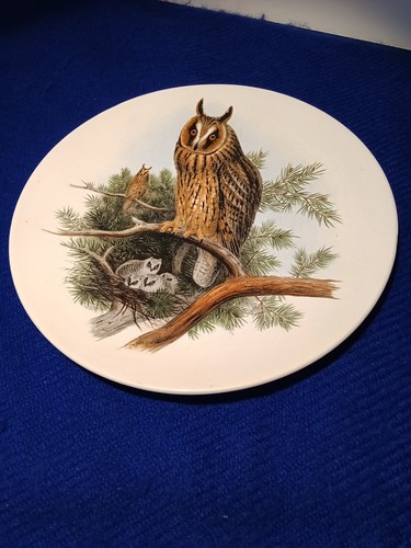 Vintage poole plate long - poole, 6"