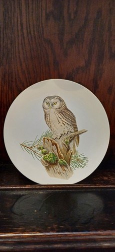 Vintage poole pottery - pottery, england